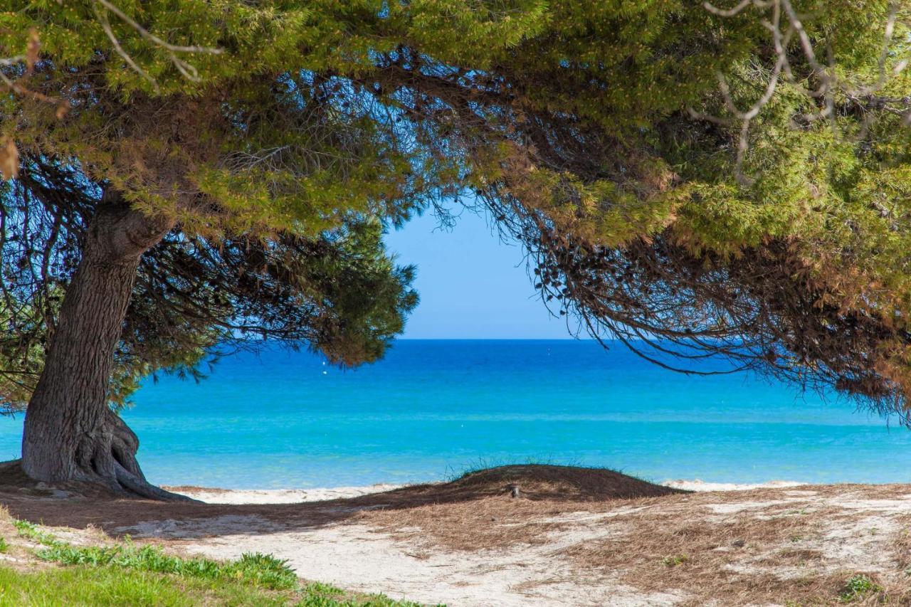 Violeta De Mar Villa Playa de Muro  Eksteriør bilde